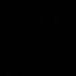 Meet your Posher, Camille